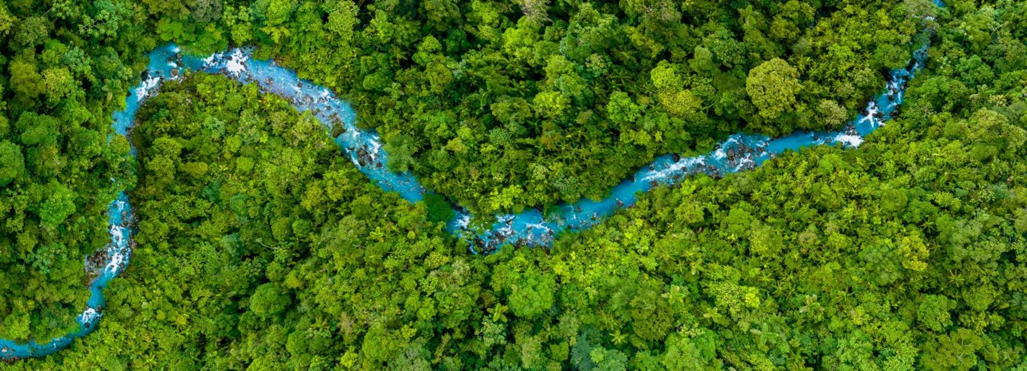 Hideaway Rio Celeste Hotel Bijagua Eksteriør billede