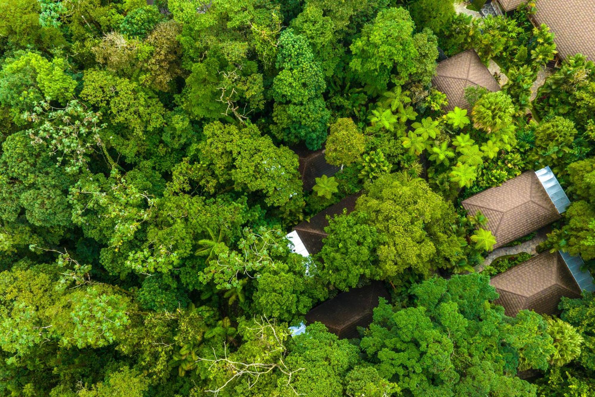 Hideaway Rio Celeste Hotel Bijagua Eksteriør billede